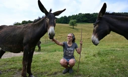 Vanessa Peduzzi avec deux de ses ânes à Alpe Bedolo, sur la commune de Schignano, le 25 juin 2020 en Lombardie