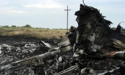 Des débris de la carlingue du vol MH17 de la Malaysian Airlines abattu au-dessus de l'Ukraine, le 18 juillet 2014 près de Shaktarsk