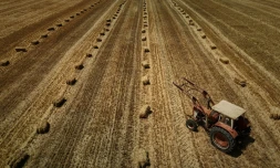 Dans une nouvelle séance crispée, l'Assemblée nationale a adopté dans la nuit de lundi à mardi la loi d'urgence agricole, et la possibilité de réintroduire de maniÚre dérogatoire certains pesticides