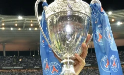 Le trophée de la Coupe de France remporté par le PSG devant Guingamp, le 30 mai 2015 au Stade de France, à Saint-Denis