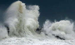 Le port de Lesconil, le 3 février 2017, dans le Finistère