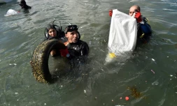 En équipement de plongée ou en tenue de plage, mains protégées par des gants, hommes, femmes et enfants se sont mués samedi 1er juillet 2017 en "éboueurs de la mer" sur une plage de l'est d'Alger jonchée de déchets.