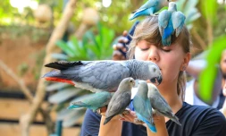 Une visiteuse dans la réserve pour oiseaux exotiques à Khartoum, le 14 mai 2022