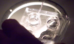 Le tant attendu projet de loi sur la bioéthique et sa mesure phare sur l'extension de la PMA à toutes les femmes arrive mercredi en Conseil des ministres, avant son examen à la rentrée par les députés