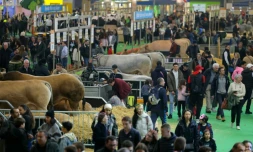 Au Salon de l'agriculture, à Paris, le 24 février 2025