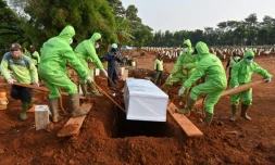 Enterrement d'une victime du nouveau coronavirus, le 10 août 2020 à Jakarta.