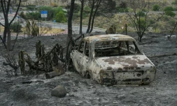 Une voiture calcinée dans une zone touchée par un incendie de forêt meurtrier à Almocaizar, dans la province d'Almería, le 12 juillet 2026 en Espagne
 A wildfire that has killed at least 12 people in southern Spain was close to being brought under control Sunday, allowing hundreds of evacuated residents to return home as firefighters worked to fully stabilise the blaze, offficials said. Authorities have kept the death toll at 12 and cautioned that the number of missing people remains uncertain until autopsies and the identification of recovered bodies are completed.
