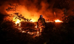 Un pompier allume un contre-feu près de Louchats en Gironde, le 17 juillet 2022.
