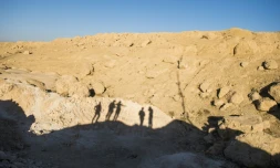 Des soldats irakiens sur un site suspecté d'abriter un charnier de l'Etat islamique, le 19 novembre 2016 dans le village de Tall Adh-Dhahab, à dix kilomètres au sud de Mossoul