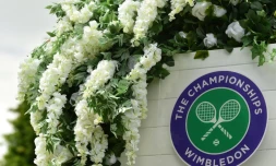 La 134e édition de Wimbledon, initialement prévue du 29 juin au 12 juillet, a été annulée. 
C'est la première fois depuis la Seconde Guerre mondiale que le  plus vieux tournoi du Grand Chelem n'aura pas lieu