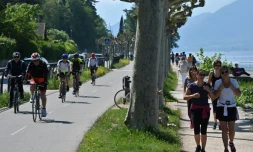 Cyclisme et jogging le long d'une rive du lac d'Annecy (Haute-Savoie), le 17 mai 2020