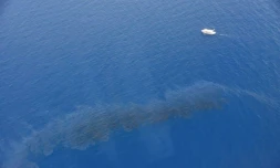 Une nappe d'hydrocarbures au large de la Corse, le 12 juin 2021