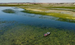 Vue aérienne d'une barque naviguant en amont du lac Assad, le long du fleuve Euphrate,le 25 juillet 2021 à Roumeila