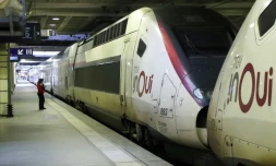 Des TGV à à la gare Montparnasse lors d'une grève à la SNCF, le 28 octobre 2019 à Paris