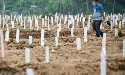 Un cimetière pour les victimes du Covid-19 à Jakarta le 22 juillet 2021