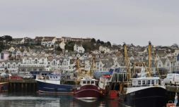 Des chalutiers dans le port de Brixham sur la côte sud de l'Angleterre le 26 mars 2018