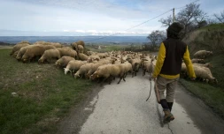 Yann Vetois, un agriculteur à Fanjeaux, dans le sud-ouest de la France, le 16 février 2018