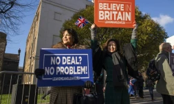 Des militantes brandissent des pancartes Pro-Brexit devant le Parlement le 8 janvier 2018 Ă  Londres
