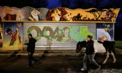 La ponette Syoux et sa propriétaire Marie Pési (d) en compagnie d'un homme sans domicile fixe, lors d'une maraude sociale à Angoulême, le 27 mars 2024