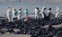 Nettoyage de la plage d'Ancon touchée par une marée noire aprÚs l'éruption d'un volcan aux ßles Tonga, le 20 janvier 2022 au Pérou