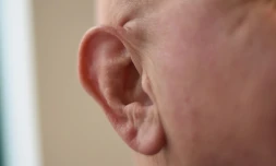 Photo (prise le 16 mai 2018 à Washington) de l'oreille d'un journaliste de l'AFP qui s'est dévoué pour illustrer la zizanie semée par un mot de deux syllabes chez de nombreux internautes à travers le monde, les divisant en deux camps opposés: ceux qui entendent "Yanny" et ceux qui entendent "Laurel".