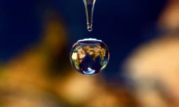 L'humanité aura consommé au 1er août l'ensemble des ressources que la nature peut renouveler en un an et vivra "à crédit" pendant cinq mois, selon l'ONG Global Footprint Network