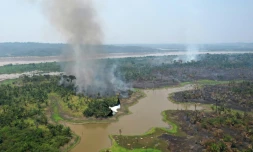 Un oiseau s'éloigne de la fumée d'une zone calcinée de la forêt amazonienne, le 1er septembre 2022, dans le parc national de Mapinguari, Etat de Rondônia, au Brésil