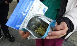 Un homme exhibe deux enveloppes de cannabis qu'il vient d'acheter dans une pharmacie en toute légalité, et à usage récréatif, à Montevideo le 19 juillet 2017.