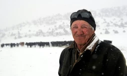 Don Gittleson devant son troupeau de vaches dans son ranch de Sherman Creek, près de Walden, le 27 mars 2023 au Colorado