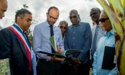 Le Premier ministre Edouard Philippe (2eg) regarde des photos des dégâts causés par l'ouragan Maria, avec le maire de Trois-Rivière Jean-Louis Francisque (g), le responsable d'une plantation de bananiers Jean-Claude Morand (3ed) et le Président de l'association des producteurs de bananes Francis Lignieres (d), le 5 novembre 2017 aux Trois Rivieres, en Guadeloupe