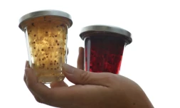 Les baies sont épépinées une à une, à la plume d'oie: la confiture de groseilles de Bar-Le-Duc, ancestrale friandise de luxe à 200 euros le kilo, est élaborée selon une recette ultra-secrète, connue aujourd'hui d'une seule personne.