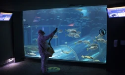 Désinfection de l'aquarium de Rio de Janeiro à la veille de sa réouverture, le 14 août 2020