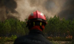 Un pompier regarde des pins en feu près de Saint-Magne, dans le sud-ouest de la France, le 11 août 2022 