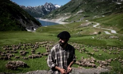 Le berger Gaétan Même, 24 ans, seul avec son troupeau de chèvres à Saint-Colomban-des-Villards, dans les Alpes françaises, le 21 juin 2018