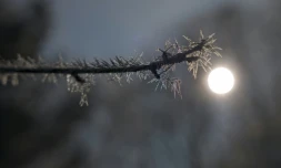 La nuit de dimanche à lundi a enregistré les températures les plus froides pour un mois d'avril depuis 1947, selon Météo France