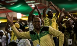 Des délégués du parti ANC au pouvoir en Afrique du sud, le 17 décembre 2017 à Johannesburg