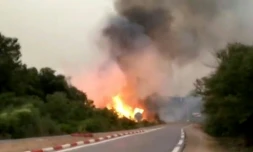 Un incendie fait rage sur le long d'une route menant à la ville de Souarekh, dans la province algérienne d'El Tarf, le 17 août 2022