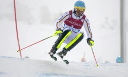 L'Allemand Felix Neureuther lors de la 1re manche du slalom de Levi, le 12 novembre 2017