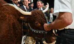 Le président Emmanuel Macron s'entretient avec des éleveurs bovins lors de sa visite au "Sommet de l'Elevage" à Cournon-d'Auvergne près de Clermont-Ferrand (Centre), le 4 octobre 2019