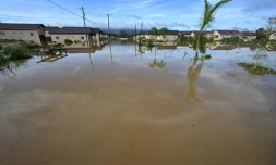 Des inondations Ă Sainte-Elizabeth, en JamaĂŻque, aprĂšs le passage de l'ouragan Melissa, le 29 octobre 2025