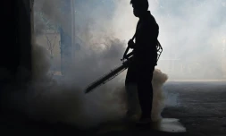 Un employé municipal fumige une maison pour lutter contre le moustique Aedes Aegypti, vecteur du virus Zika et celui de la dengue, le 5 février 2016 à Bangkok