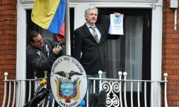 Julian Assange sur le balcon de l'ambassade d'Equateur à Londres, le 5 février 2016