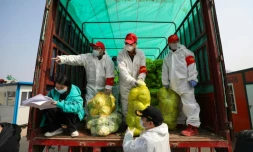Des employés distribuent des stocks de nourriture le 5 mars 2020 dans la ville de Wuhan