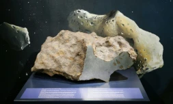 La météorite du Mont-Dieu exposée à l'Institut royal des Sciences naturelles de Bruxelles en février 2007