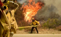 Un pompier lutte contre l'incendie qui ravage les alentours de Santa Clarita le 25 juillet 2016 en Californie