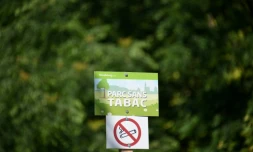 La cigarette sera interdite sur les plages, dans les parcs, et aux abords des écoles à compter du 1er juillet