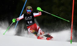 L'Autrichien Marcel Hirscher lors du combiné de Bansko, en Bulgarie, le 22 février 2019