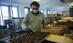 Le chocolatier bruxellois Laurent Gerbaud dans son atelier à l'arrêt
