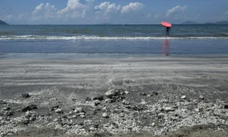 Hong Kong touchée par une fuite d'huile de palme, le 7 août 2017