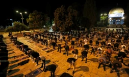 Des Palestiniens font la priÚre de l?aube à l?intérieur de l?enceinte de la mosquée al-Aqsa, dans la vieille ville de Jérusalem, rouverte le 31 mai 2020, aprÚs deux mois de fermeture en raison de Covid-19